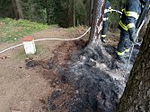 U obce Závrchy, na CZPL hranici, hasiči zasahovaliu požáru jehličí v rozsahu 10x5m. Na místě byly tři české jednotky a jednotka polských hasičů OSP Kudowa Czermna.