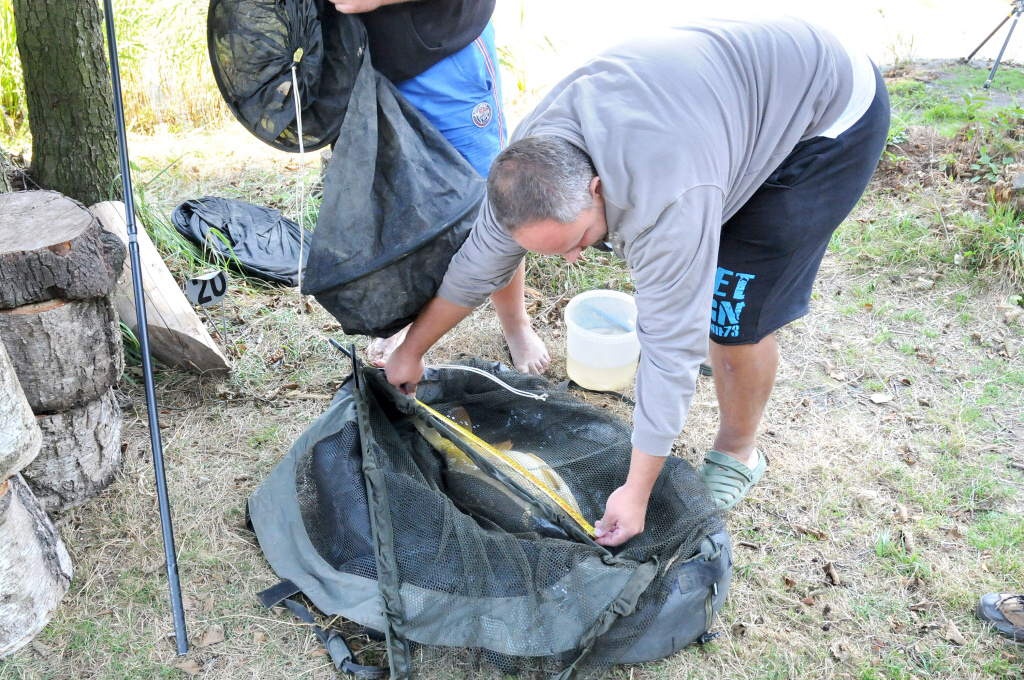 Z rybníku Brodský byly vyloveny téměř dvě tuny ryb - Náchodský deník