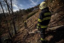 Hasiči z Náchoda likvidovali požár listí v suchém porostu v údolí Peklo nad řekou Metují.