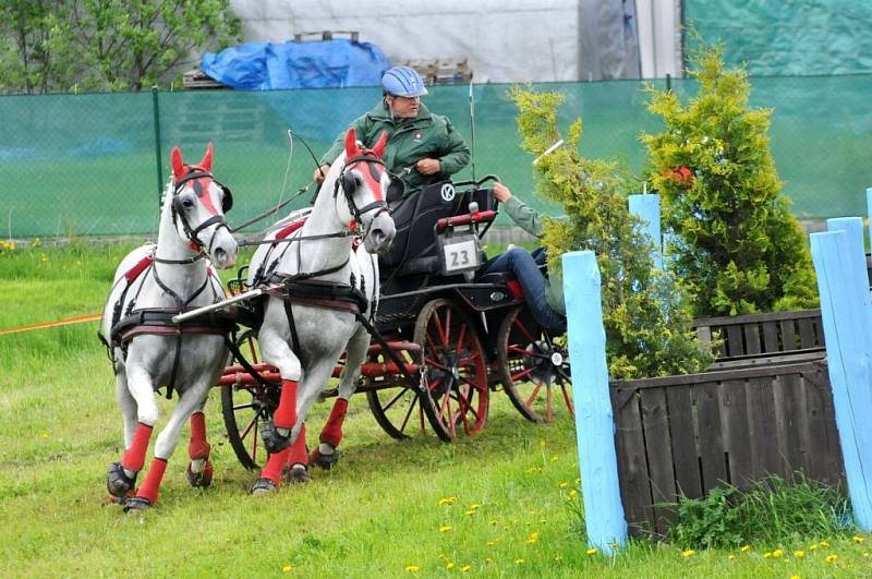 Závody světového poháru koňských spřežení v Polici nad Metují. 