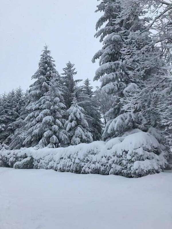 Krásné fotografie z víkendových zimních radovánek poslala do redakce Karolína Žďárská z Náchoda. S rodinou a kamarády si užívali sněhu nejen při bobování, ale i během výletu na rozhlednu na vrchu Šibeniku u Nového Hrádku.