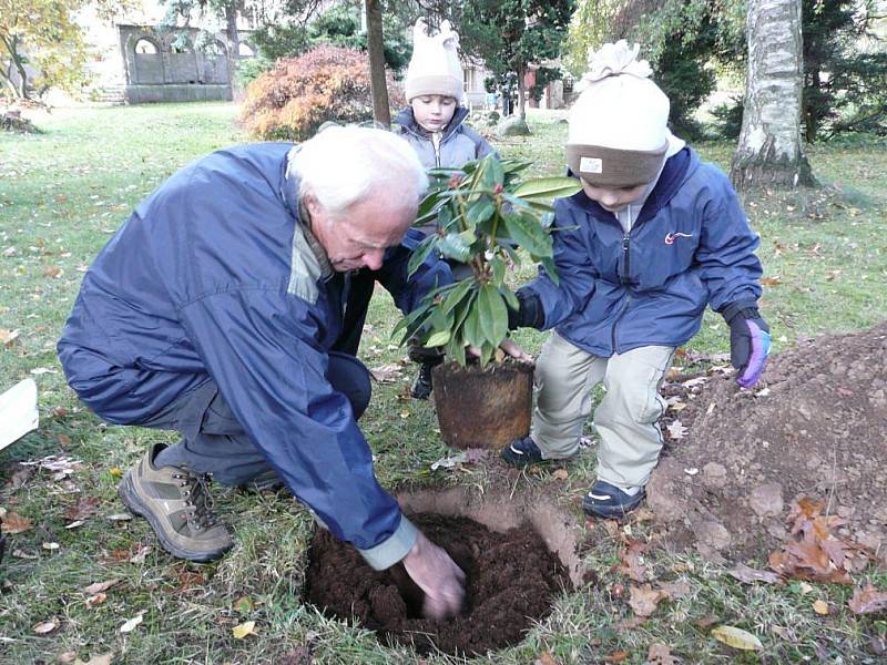 Sobotní Slavnost stromů bude zahájena v devět hodin společným sázením.