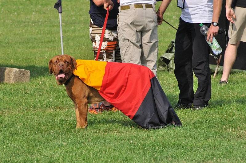 Nebe nad Novým nad Metují budou v prvních srpnových dnech brázdit motorové paraglidingy. Na zdejším letišti bylo ve čtvrtek 30. července zahájeno MS v tomto sportu.