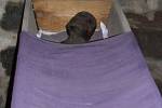 Rakve potažené fialovým suknem - mumie uložené ve sklepě broumovského kláštera.