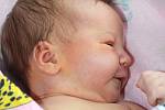 VIKTORIE SCHMIEDTOVÁ se narodila 25. března 2013 ve 14:33 hodin s váhou 3915 gramů a délkou 52 centimetrů. S rodiči Petrou a Jaroslavem, a s osmiletou sestřičkou Sárinkou, mají domov ve Velké Jesenici. 