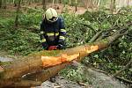 Cestu do Pekla zatarasil spadlý strom