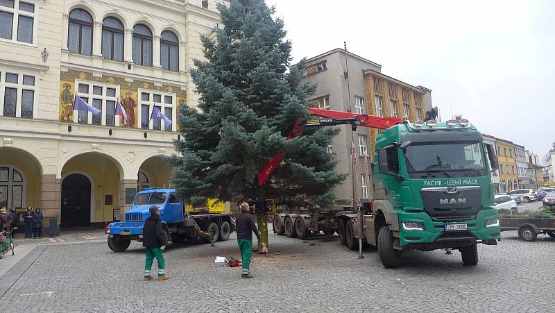 V Náchodě už mají vánoční stromy také postavené.