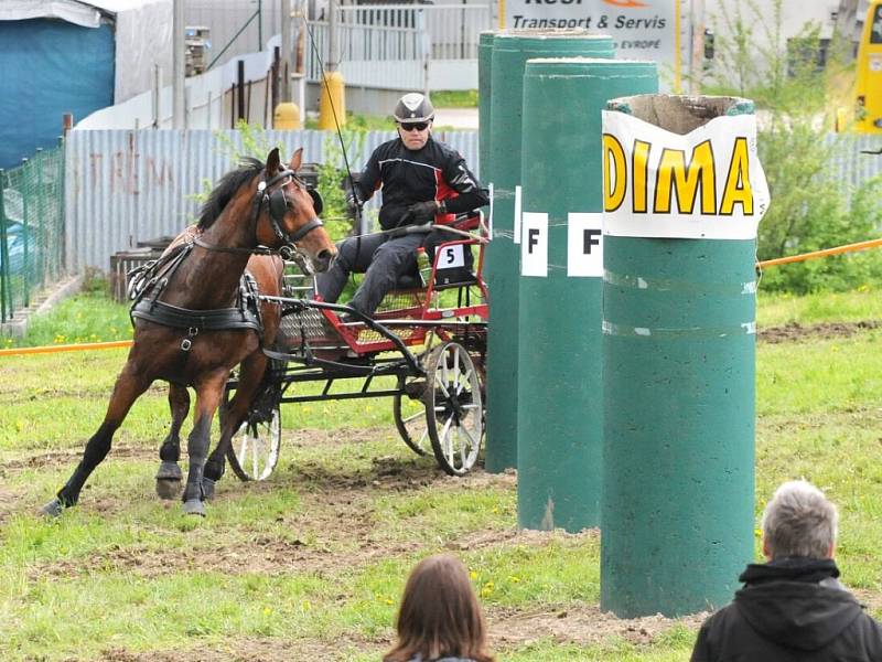 Závody světového poháru koňských spřežení v Polici nad Metují. 