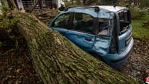 V obci Vršovka nedaleko Nového Města nad Metují spadl vzrostlý strom na dům, poškodil i zaparkovaný automobil.