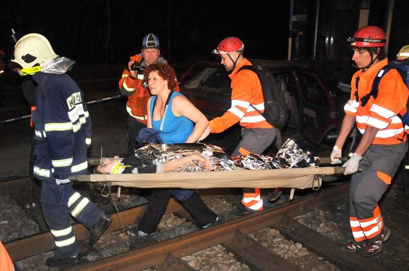 Desátý ročník záchranářského cvičení Rozkoš Rescue 2013.