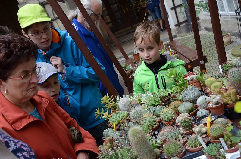 Na zámku v Novém Městě nad Metují byly od pátku 10. července do neděle 12. července k vidění květiny rozmanitých tvarů a názvů. Pěstitelé zde vystavovali kaktusy, sukulenty, achimenesy, masožravé i další rostliny. Zájem byl také o prodej malých výpěstků.