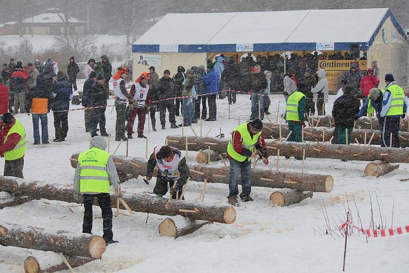 Na divácky atraktivní klání Dřevorubec roku 2012 se přišlo podívat v průběhu dne několik stovek návštěvníků.