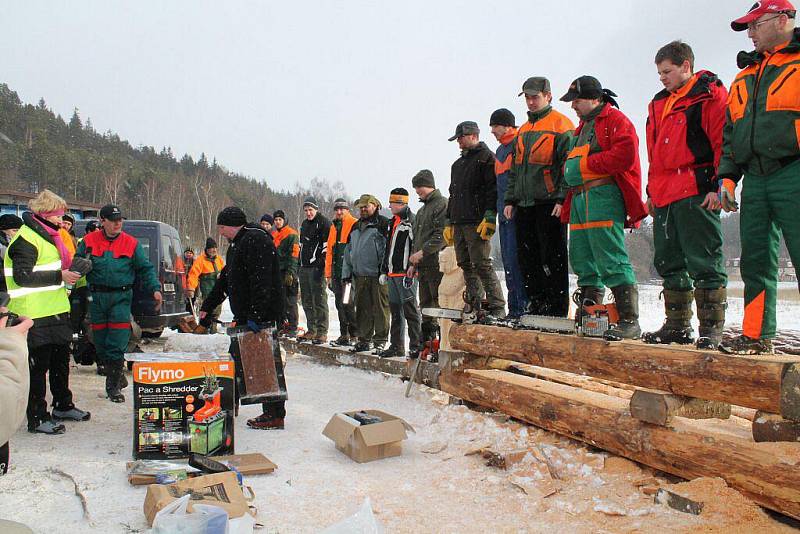 Na divácky atraktivní klání Dřevorubec roku 2012 se přišlo podívat v průběhu dne několik stovek návštěvníků.