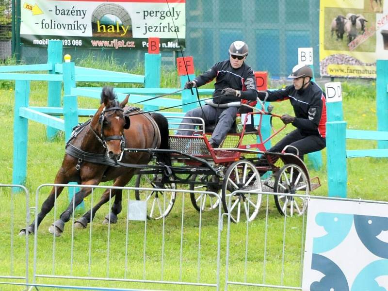 Závody světového poháru koňských spřežení v Polici nad Metují. 