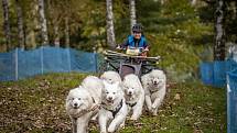 Závody psích spřežení uspořádal v okolí autokempu Brodský červenokostelecký Musher club Metuje. Na startující čekal po dva dny 5,32 km dlouhý okruh. Závěr patřil dětskému canicrossu. Foto: Katka Tůmová