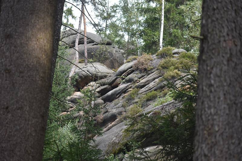 Na dvou místech u turistické Pánovy cesty v Polických stěnách se se souhlasem Správy CHKO Broumovska měnila podoba skal. Ty překážely bezeškodnému vyvezení vytěženého kůrovcového dřeva, tak musely ustoupit technice.