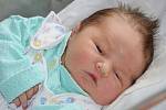 ŠIMON HVĚZDA se narodil 1. května 2014 v 7:28 hodin rodičům Miroslavě a Janovi z Náchoda. Chlapeček vážil 4620 gramů a měřil 55 centimetrů. Doma se na brášku těší sestřička Stellinka (23 měsíců). 