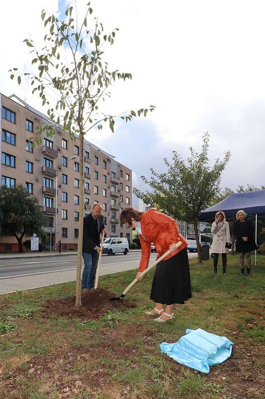 Nadace Olgy Havlové Výbor dobré vůle si letos připomíná nedožité 85. narozeniny Olgy Havlové.