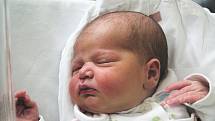 OLGA KOTLAN se narodila 9. února ve 19:50 hodin. Po porodu vážila 3380 gramů a měřila 50 centimetrů. S rodiči Irinou a Nikolou žije v Náchodě.