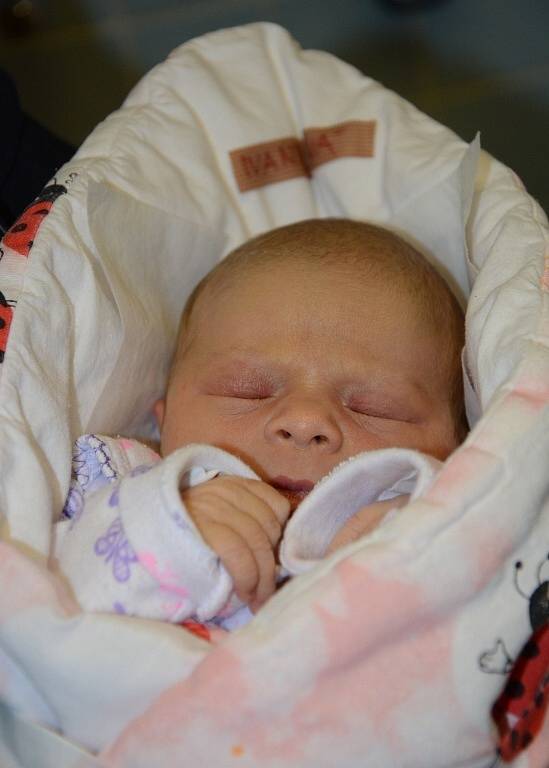 Prvním letošním miminkem v náchodské porodnici se stala Karolínka Ivaniecová.