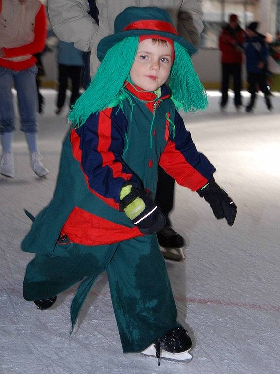 Karneval na ledě v hronovské Wikov Aréně.