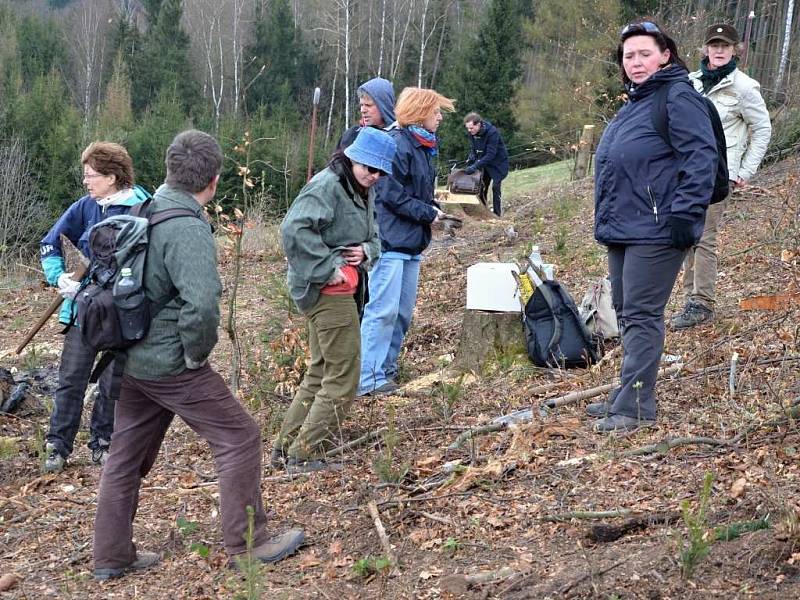 Výsadba historicky prvního knihovnického lesa v Náchodě pod Hotelem Vyhlídka.