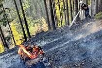 Hořící hrabanku na Lipí prolili hasiči řádně vodou.