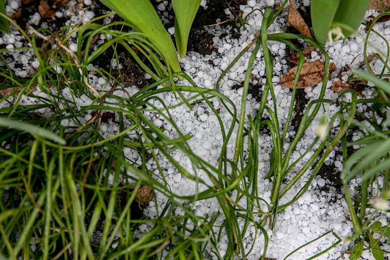 Přírodu spolu se sněhem přikryly i zmrzlé krupky, které slunečním paprskům dlouho odolávaly.