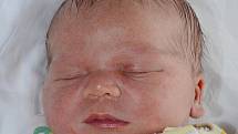 MILOŠ DROZD se narodil 4. dubna 2012 ve 13:20 hodin s váhou 3865 g a délkou 50 cm. S rodiči Irenou a Milošem, a se sourozenci Honzou (18), Zdeňkem (15), Janičkou (8), Matýskem (6), Laduškou (4) a Klárkou (1), bydlí v Broumově.   