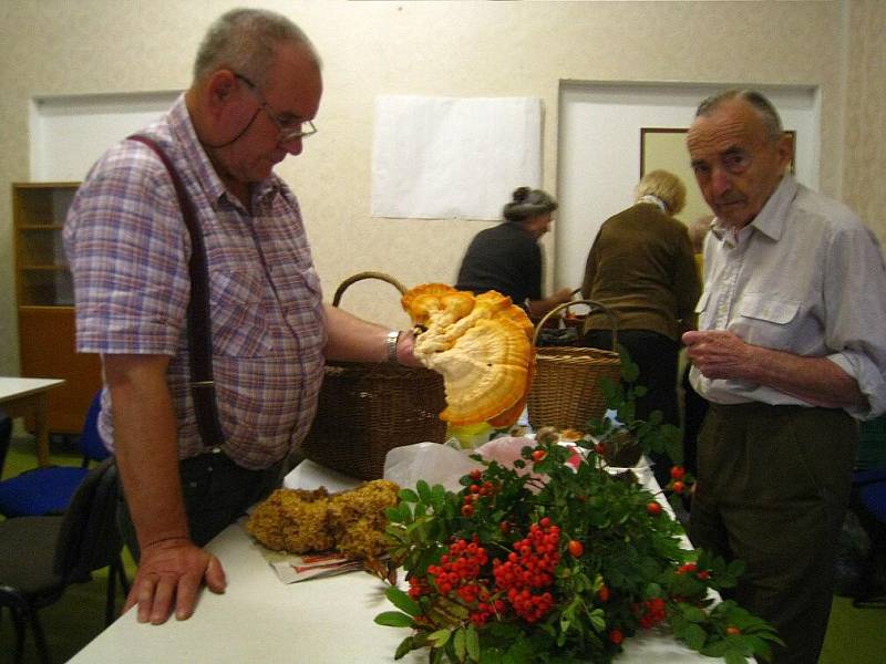 Mykologický klub Náchod vystavuje na vlakovém nádraží houby.