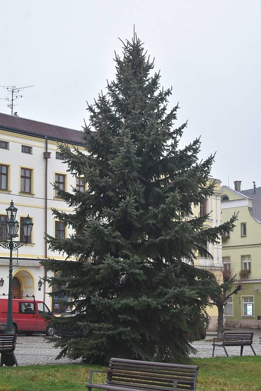 Na Mírovém náměstí v Broumově od dnešní deváté hodiny stojí vánoční jedle. Na výzdobu si musí ale ještě počkat do pondělí.