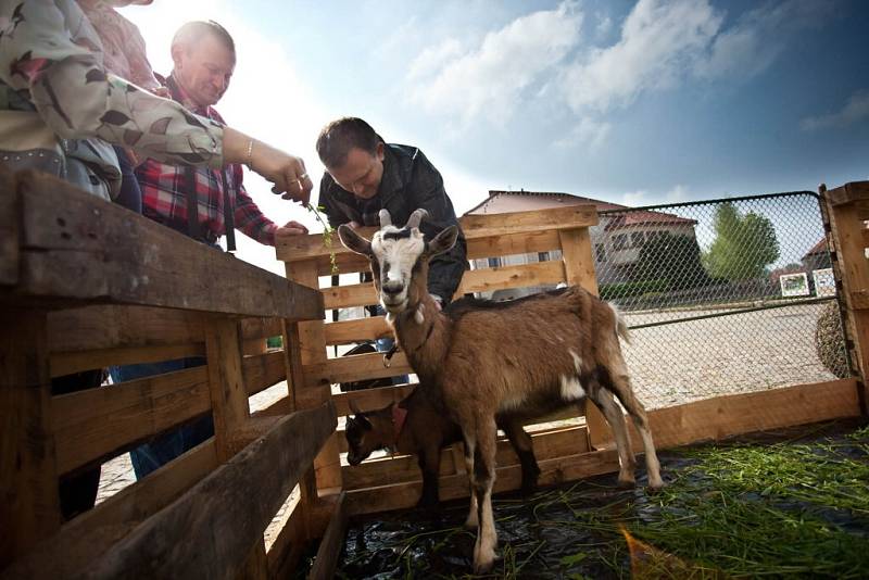  Tradiční akce Brány města dokořán zahájila o víkendu v Novém Městě nad Metují, jedné z historických perel východních Čech, letošní turistickou sezonu. 