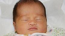 MAI ANH VO se narodila 22. září 2013 ve 14:28 hodin s váhou 3150 g a délkou 51 cm. S rodiči Nguyen Bich Huong a Vo Duc Hai a s bráškou Vo Duc Huy mají domov v Náchodě. 
