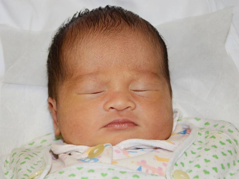 MAI ANH VO se narodila 22. září 2013 ve 14:28 hodin s váhou 3150 g a délkou 51 cm. S rodiči Nguyen Bich Huong a Vo Duc Hai a s bráškou Vo Duc Huy mají domov v Náchodě. 