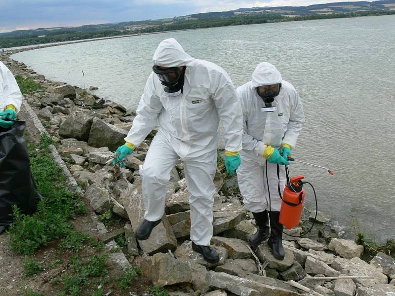 Hasiči v ochranných kombinézách sbírají mrtvá těla racků na dělící hrázi „východočeského moře“