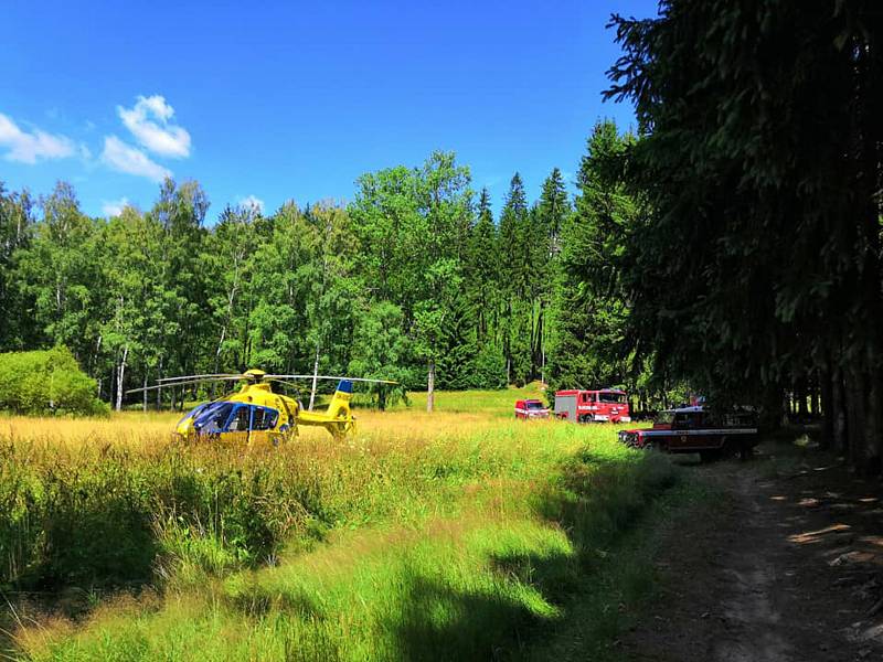 Turistu na Ostaši píchla vosa. Při alergické reakci se mu zastavilo srdce.