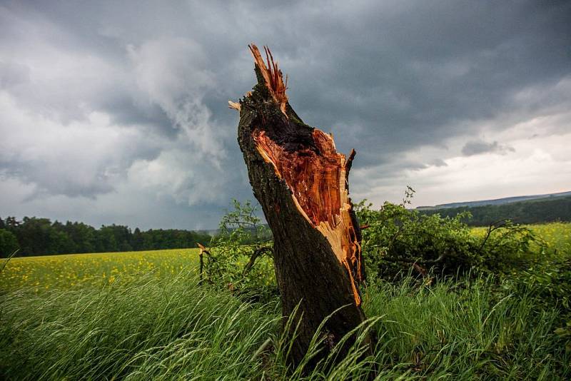 Východní Čechy 24.května odpoledne zasáhl prudký vítr a bouřky. 