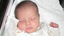KAROLÍNA HRADECKÁ se narodila 13. února 2011 ve 22:59 hodin s délkou 51 cm a váhou 4,1 kg. S rodiči Janou a Davidem bydlí v Ruprechticích.                          
