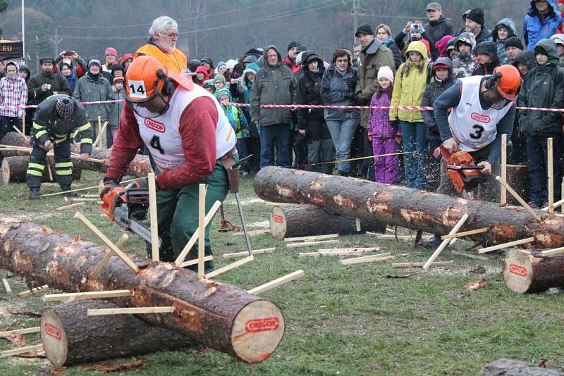 V sobotu se třiadvacet drsňáků z celé České republiky utkalo v Adršpachu o titul Dřevorubce roku. 