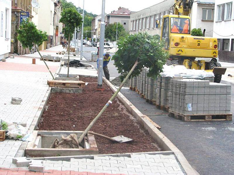 Nová výsadba v podobě téměř čtyřiceti javorů je nyní součástí Komenského ulice, která prochází celkovou rekonstrukcí.