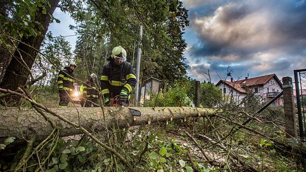 Královéhradecký kraj zasáhla vichřice na horách napadl sníh a v nížinách silný vítr lámal stromy.