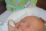 DANIEL HANUŠ se narodil 31. prosince 2012 v 9:04 hodin s váhou 3830 gramů a délkou 51 centimetrů. S rodiči Silvií a Patrikem, a se sestřičkou Ellenkou (3 a půl roku), mají domov v Náchodě.   