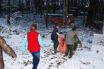 PRACOVNÍCI Zoologické zahrady ve Dvoře Králové nad Labem právě skládají bednu s novým přírůstkem, který přenesli do pavilonu. Gorilí samice Shinda je na třetím snímku v levém dolním rohu. 