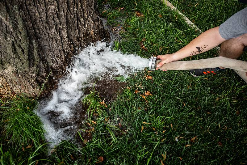 Dobrovolní hasiči z Jaroměře-Jezbin pomáhají ve městě kvůli trvajícímu suchu se zaleváním stromů v Jaroměři.