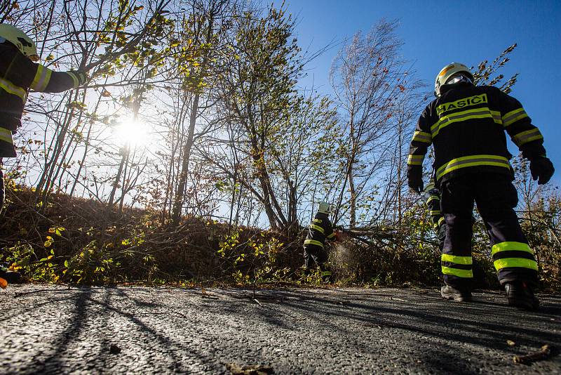 Spadlý strom v Novém Městě nad Metují. Od pondělního odpoledne do dnešního rána zasahovaly profesionální i dobrovolné jednotky hasičů v Královéhradeckém kraji v souvislosti se silným větrem u 30 událostí. Nejvíce práce mají jednotky na Hradecku, Rychnovsk