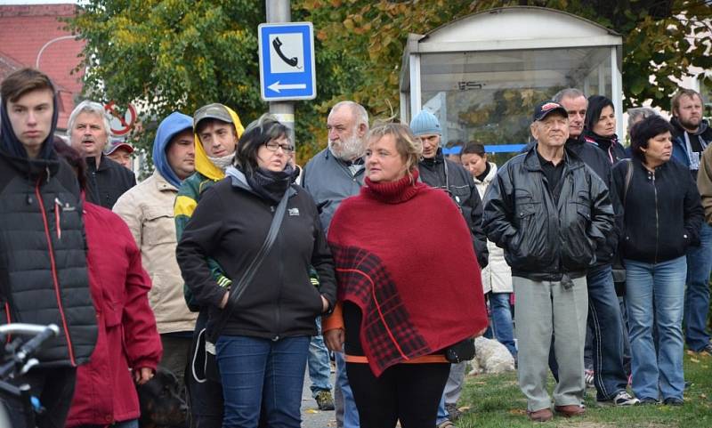 Demonstrace proti imigraci, za okamžité vystoupení České republiky z Evropské unie a za svrchovaný český stát se uskutečnila v sobotu odpoledne na českoskalickém Husově náměstí.