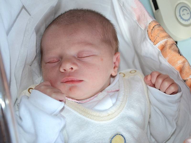 MAYA ŠERKOVÁ se narodila 24. října 2013 v 0:16 hodin s váhou 3145 gramů a délkou 50 centimetrů. S rodiči Lindou a Lukášem bydlí společně v Červeném Kostelci. 