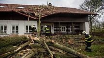 V obci Vršovka nedaleko Nového Města nad Metují spadl vzrostlý strom na dům, poškodil i zaparkovaný automobil.