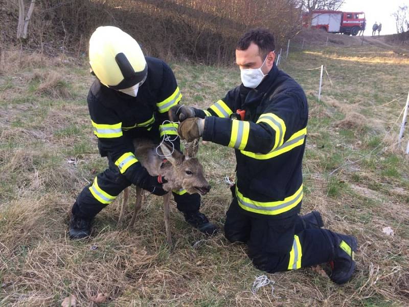 Únik plynu u náchodské nemocnice