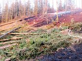 Požár lesa v lokalitě U Křížku u Vernéřovic na Náchodsku.
